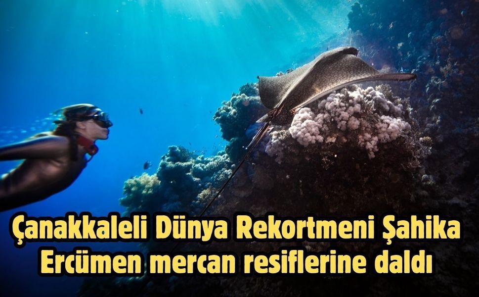 Çanakkaleli Dünya Rekortmeni Şahika Ercümen mercan resiflerine daldı