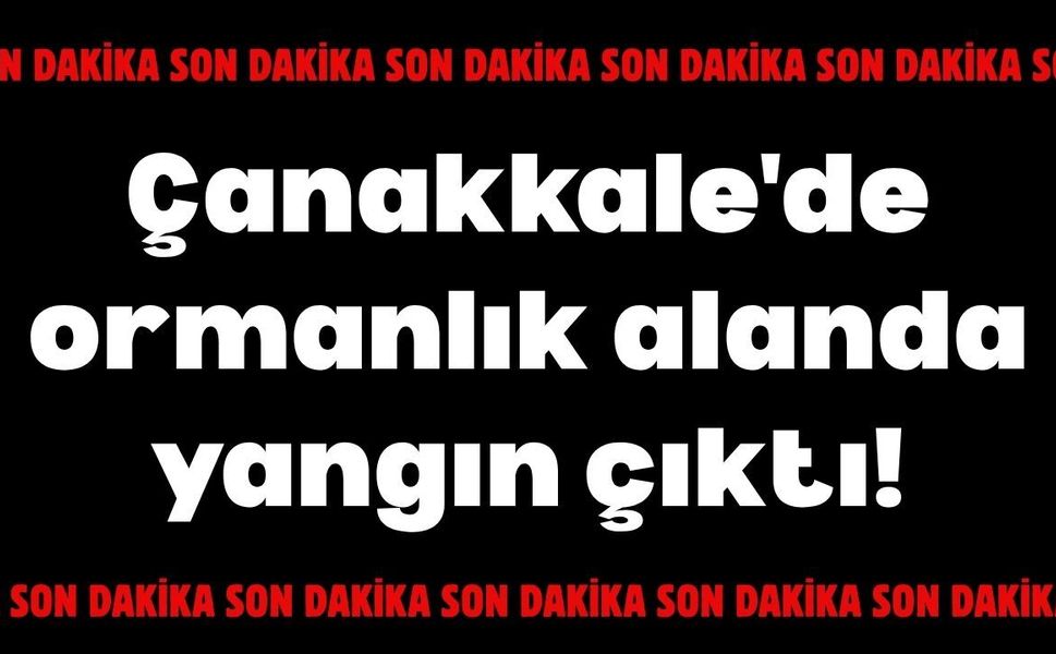 Çanakkale'de ormanlık alanda yangın çıktı!