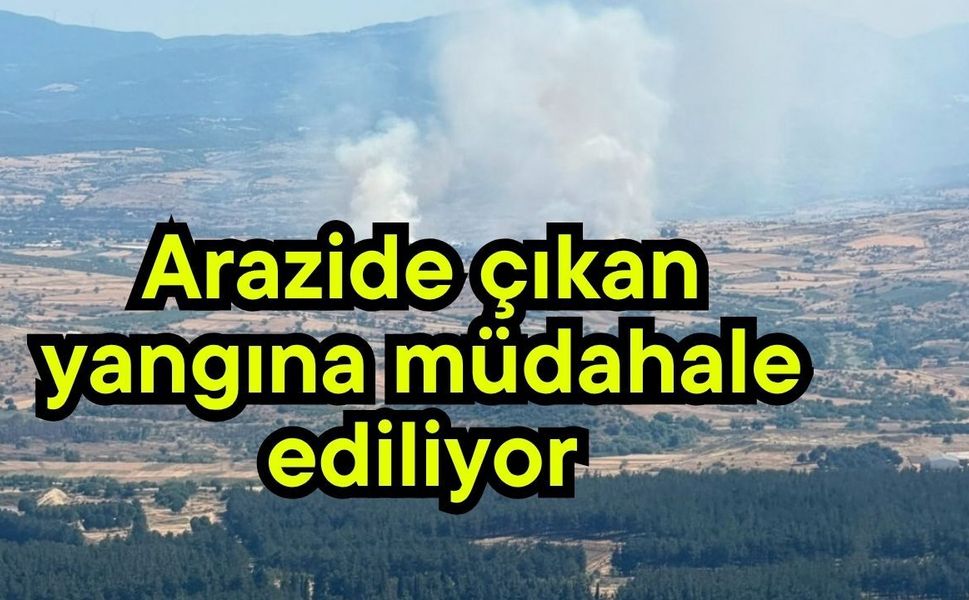 Arazide çıkan yangına müdahale ediliyor