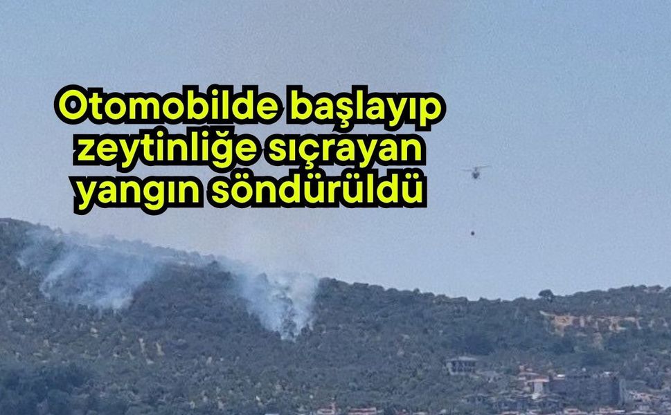 Otomobilde başlayıp zeytinliğe sıçrayan yangın söndürüldü