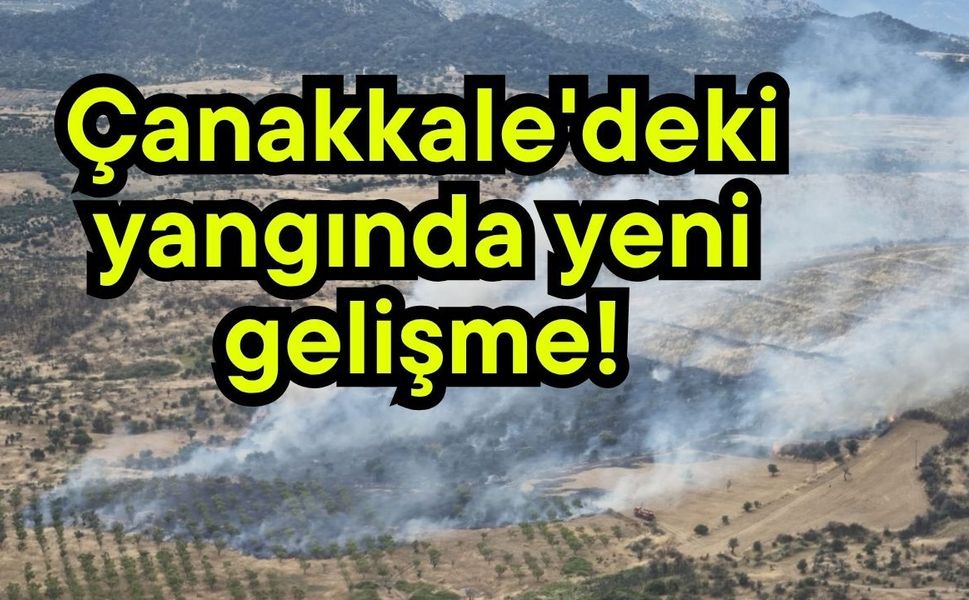 Çanakkale'deki yangında yeni gelişme!