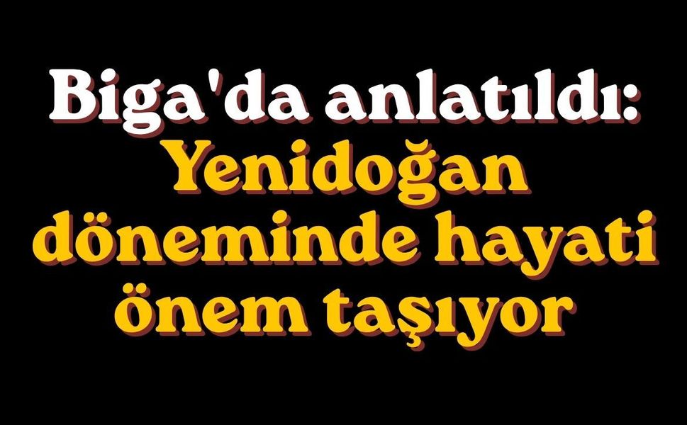 Çanakkale’de Trafikte Kâbus! Ehliyetsiz, Alkollü ve Ters Yönde!