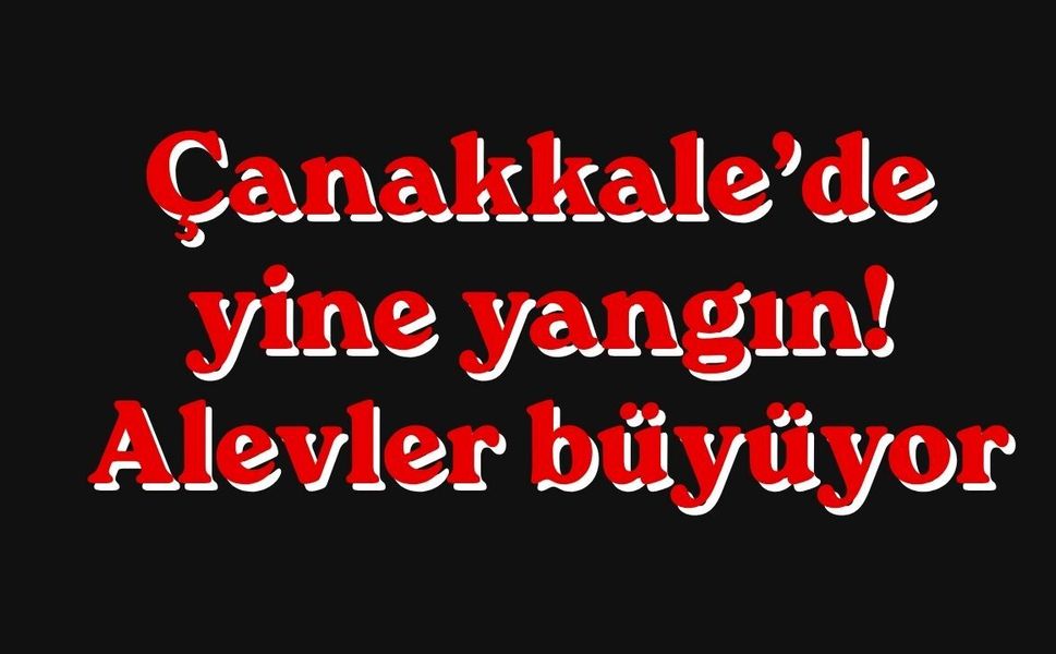 Çanakkale’de yine yangın! Alevler büyüyor