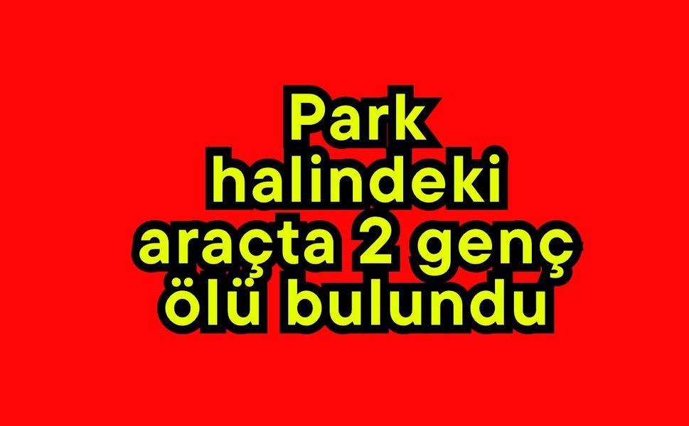 Park halindeki araçta 2 genç ölü bulundu