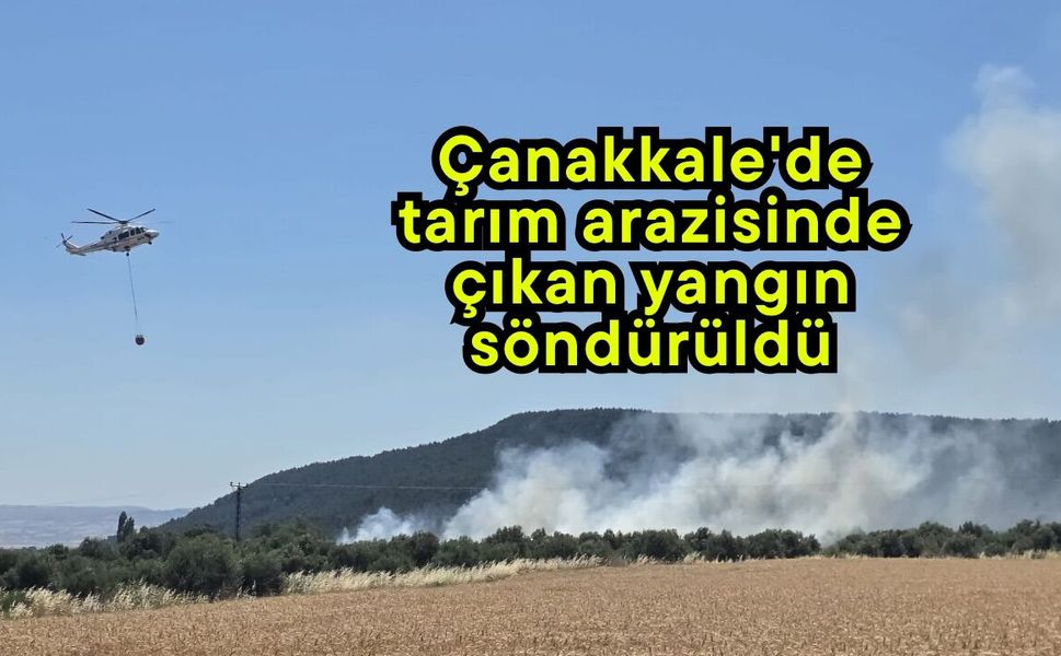 Çanakkale'de tarım arazisinde çıkan yangın söndürüldü