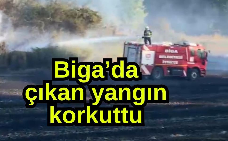 Biga’da çıkan yangın korkuttu