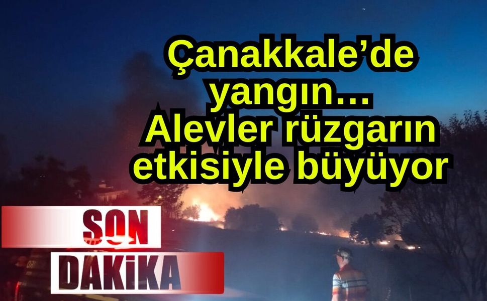 Çanakkale’de yangın… Alevler rüzgarın etkisiyle büyüyor