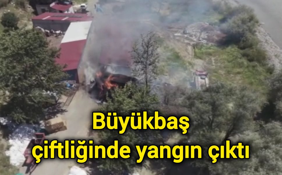 Büyükbaş çiftliğinde yangın çıktı