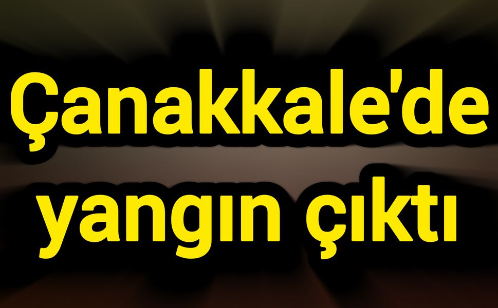 Çanakkale'de yangın çıktı