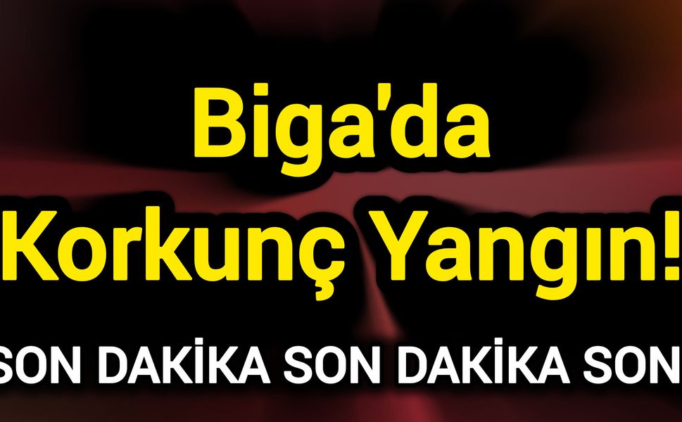 Son Dakika: Biga'da korkunç yangın!
