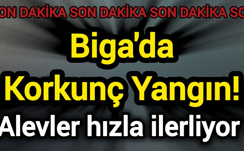 Biga'da Korkunç Yangın! Alevler hızla ilerliyor