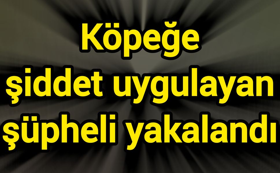 Köpeğe şiddet uygulayan şüpheli yakalandı