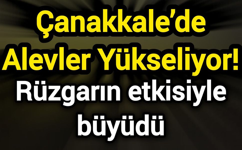 Çanakkale’de Alevler Yükseliyor! Rüzgarın etkisiyle büyüdü