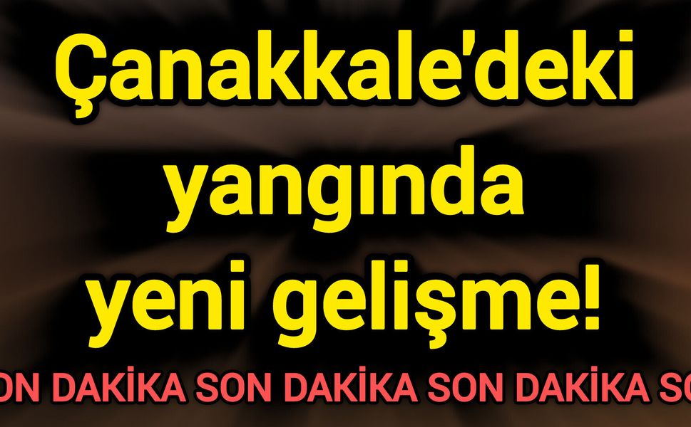 Çanakkale'deki yangında yeni gelişme!