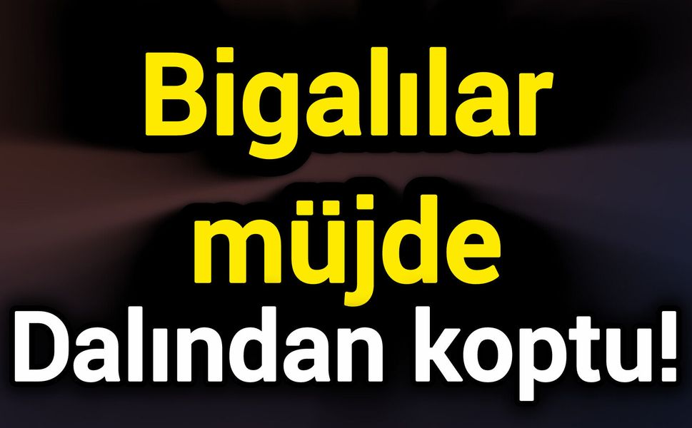 Bigalılar müjde: Dalından koptu!