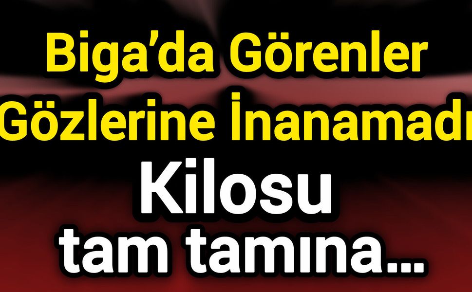 Biga’da Görenler Gözlerine İnanamadı: Kilosu tam tamına…