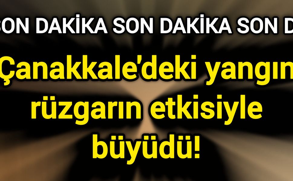 Çanakkale'deki yangın rüzgarın etkisiyle büyüdü!