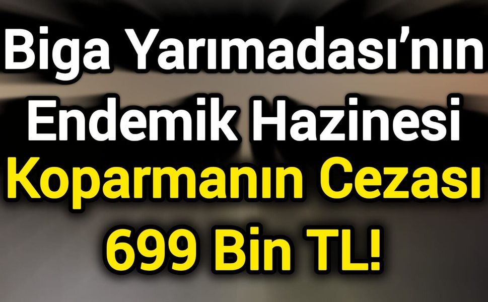 Biga Yarımadası’nın Endemik Hazinesi