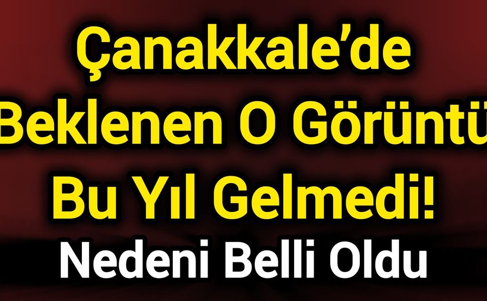 Çanakkale’de Beklenen O Görüntü Bu Yıl Gelmedi! Nedeni Belli Oldu