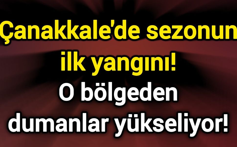Çanakkale'de sezonun ilk yangını! O bölgeden dumanlar yükseliyor!