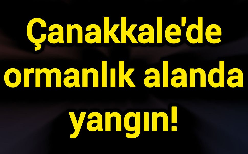 Çanakkale'de ormanlık alanda yangın!