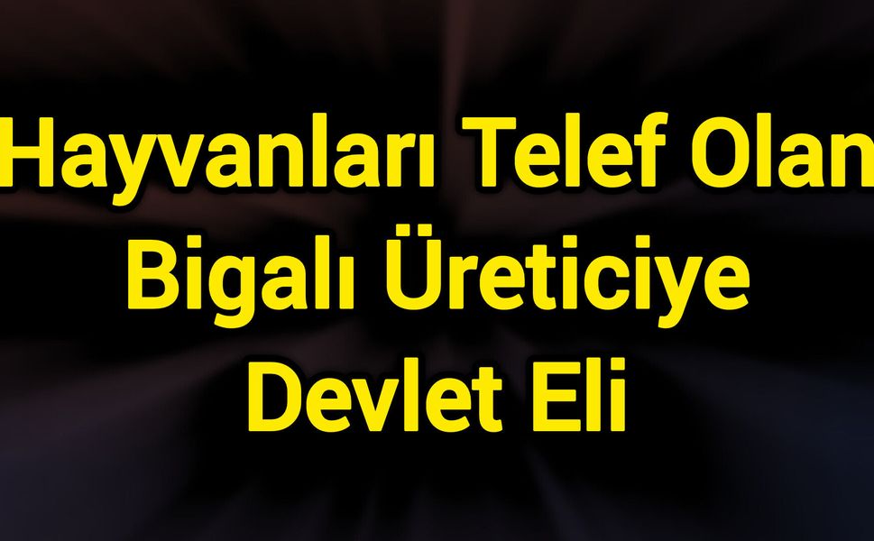 Hayvanları Telef Olan Bigalı Üreticiye Devlet Eli