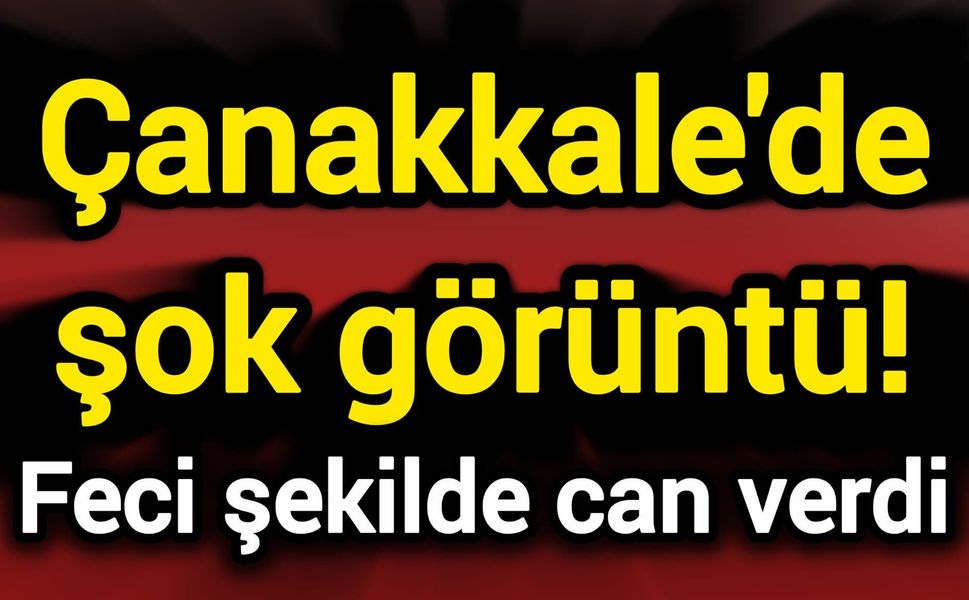 Çanakkale'de şok görüntü! Feci şekilde can verdi