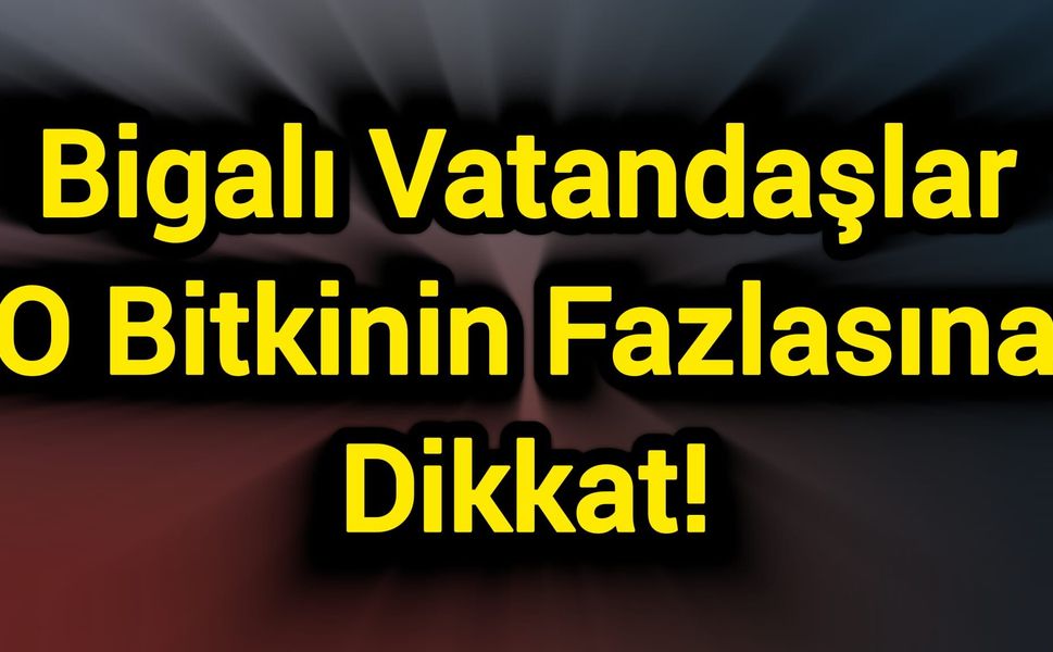 Bigalı Vatandaşlar O Bitkinin Fazlasına Dikkat!