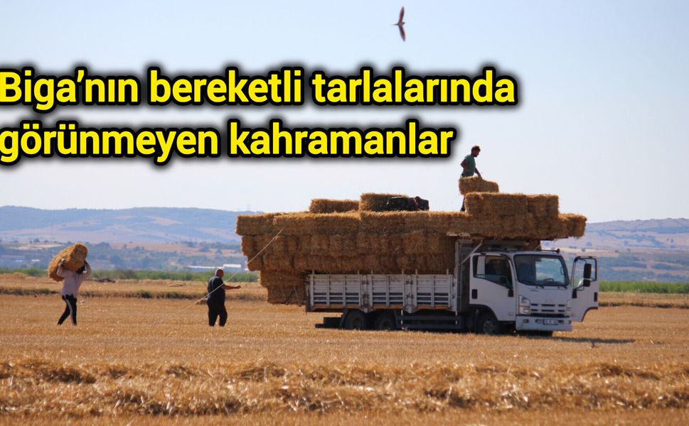 Biga’nın bereketli tarlalarında görünmeyen kahramanlar