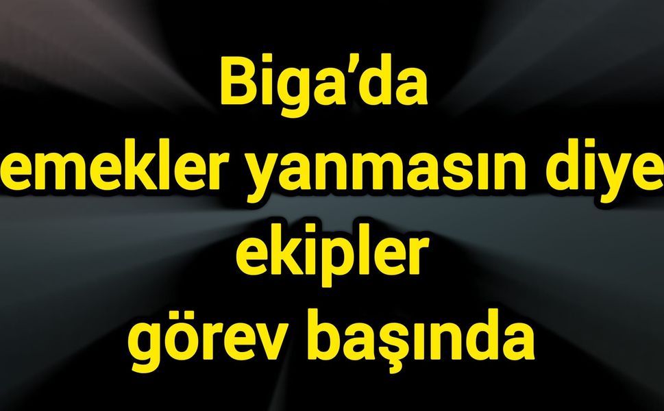 Biga’da emekler yanmasın diye ekipler görev başında