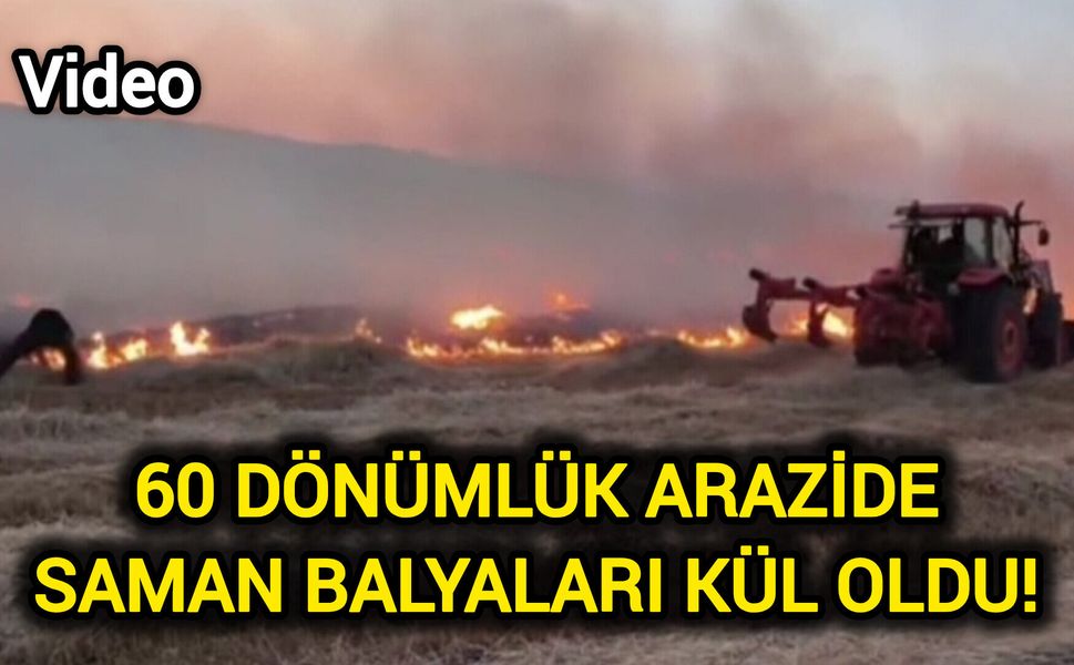 60 dönümlük arazide saman balyaları kül oldu!