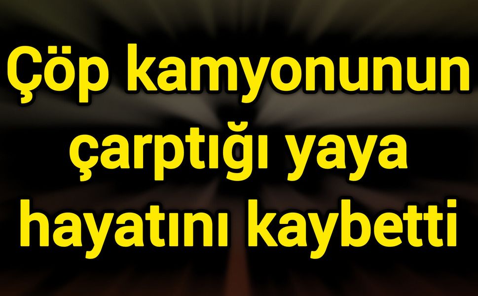 Çöp kamyonunun çarptığı yaya hayatını kaybetti