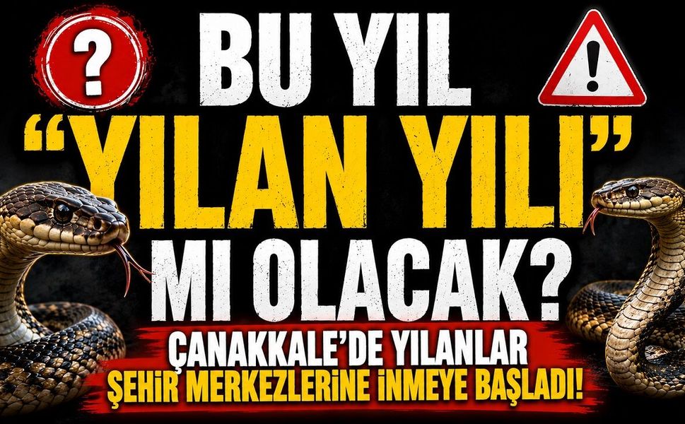Bu Yıl "Yılan Yılı" mı Olacak? Çanakkale'de Yılanlar Şehir Merkezlerine İnmeye Başladı