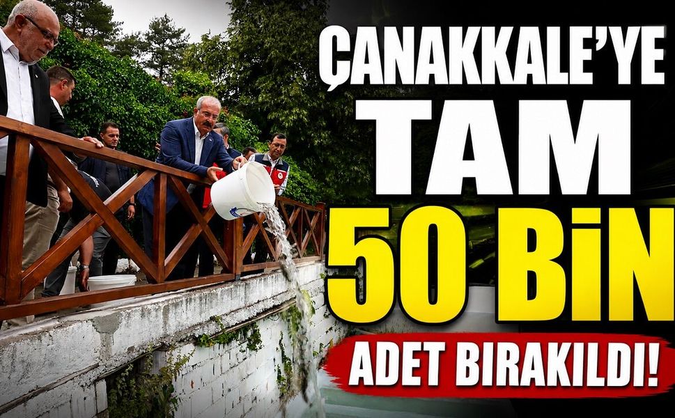 Çanakkale’ye tam 50 bin adet bırakıldı!