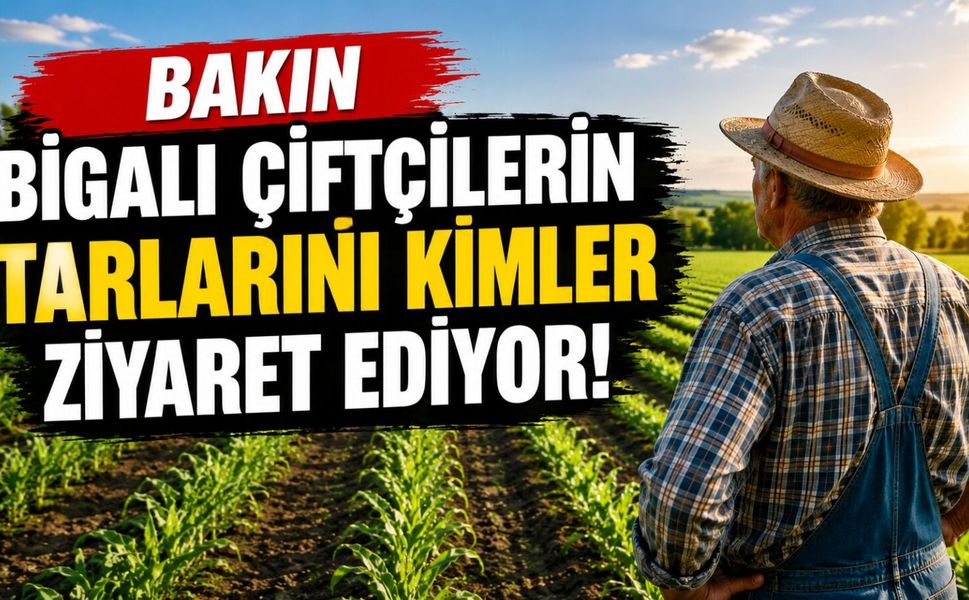 Bigalı Çiftçilerin Tarladaki Sadık Misafirleri!