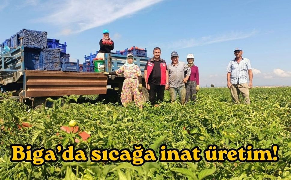 Biga’da sıcağa inat üretim!