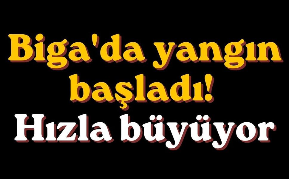 Biga'da yangın başladı! Hızla büyüyor