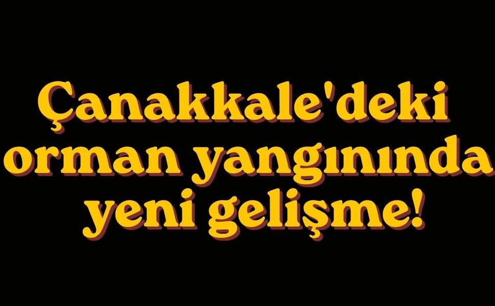 Çanakkale'deki orman yangınında yeni gelişme!