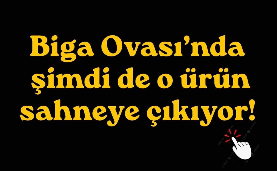 Biga Ovası’nda şimdi de o ürün sahneye çıkıyor!