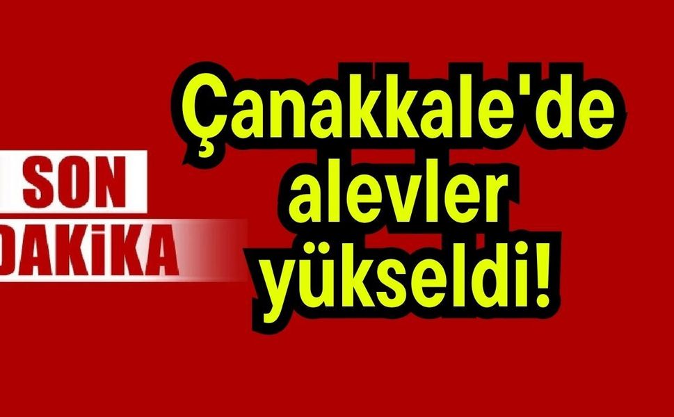 Çanakkale'de alevler yükseldi!
