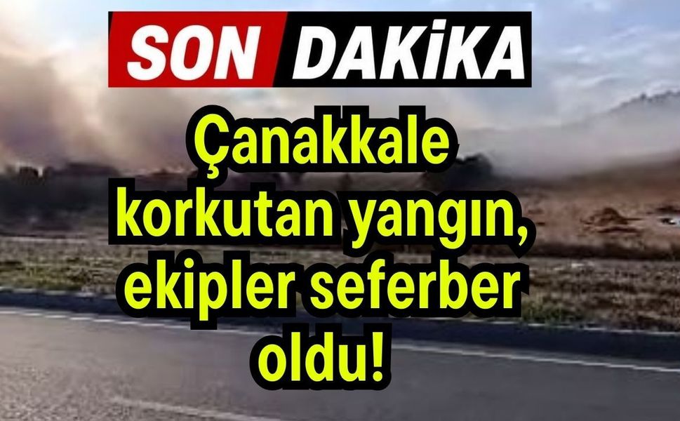 Çanakkale korkutan yangını, ekipler seferber oldu!