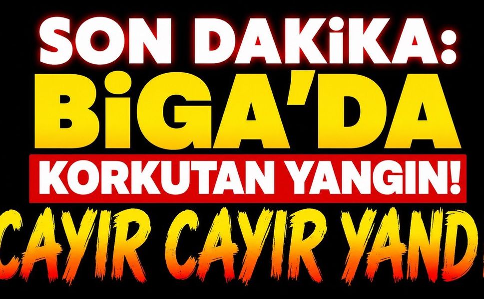 SON DAKİKA: Çanakkale Biga'da Korkutan Yangın! Cayır Cayır Yandı