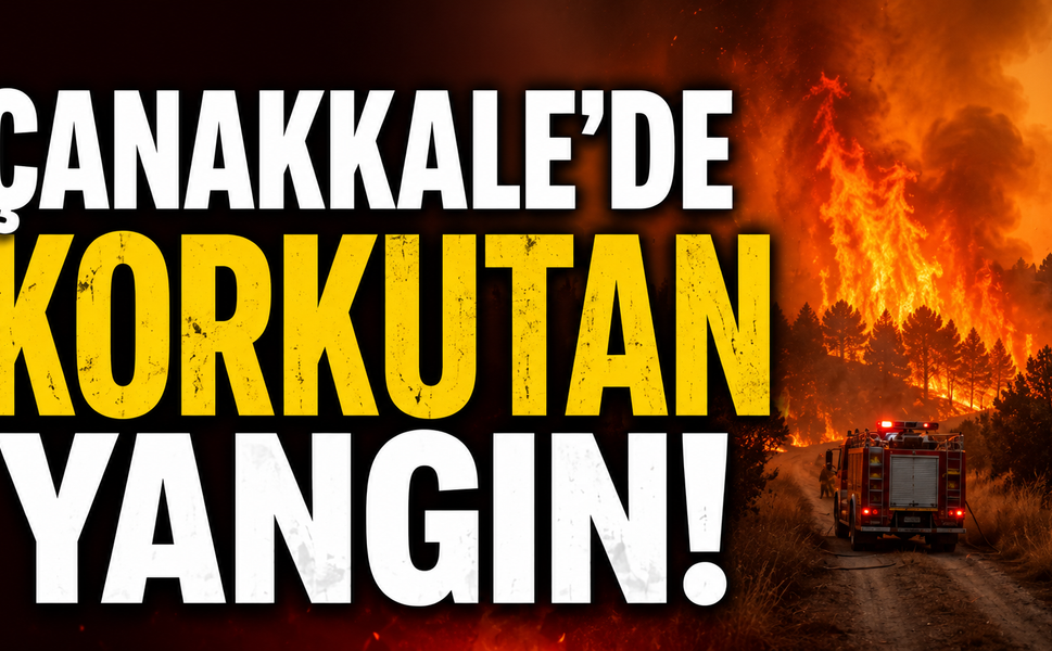 Çanakkale'de korkutan yangın!