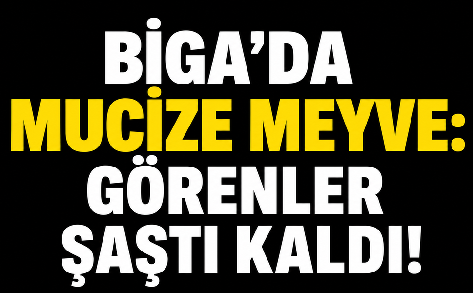Biga’da mucize meyve: Görenler şaştı kaldı!