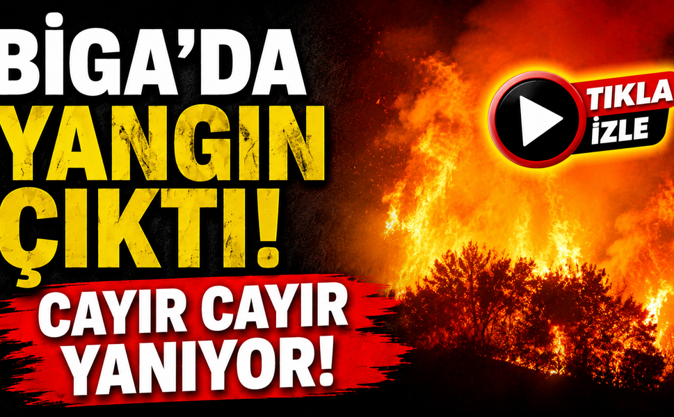 Biga’da alevler tarlayı sardı!