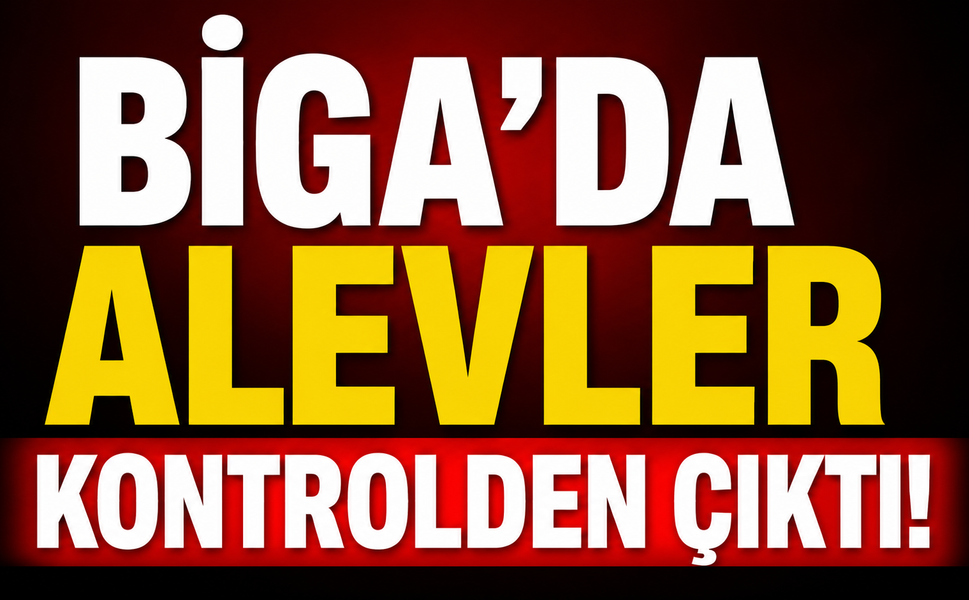 Biga’da alevler kontrolden çıktı!