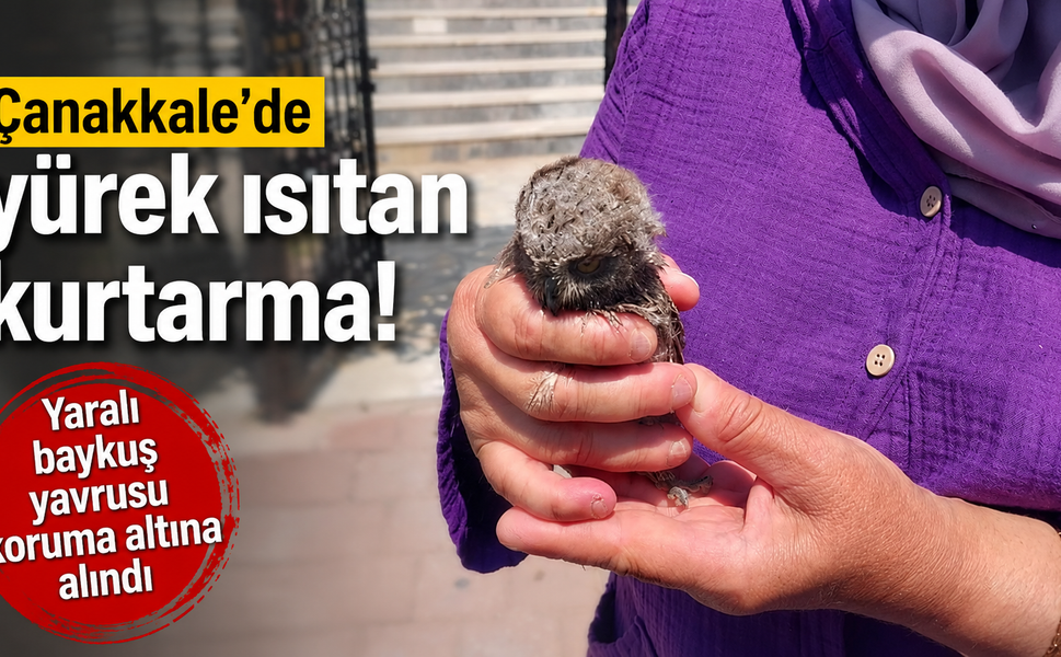 Çanakkale’de yürek ısıtan kurtarma!