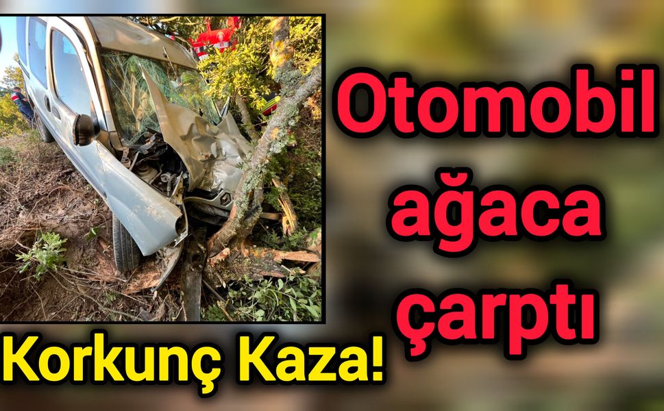 Korkunç kaza! Otomobil ağaca çarptı
