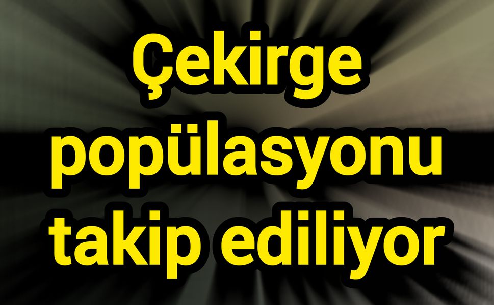 Çekirge popülasyonu takip ediliyor