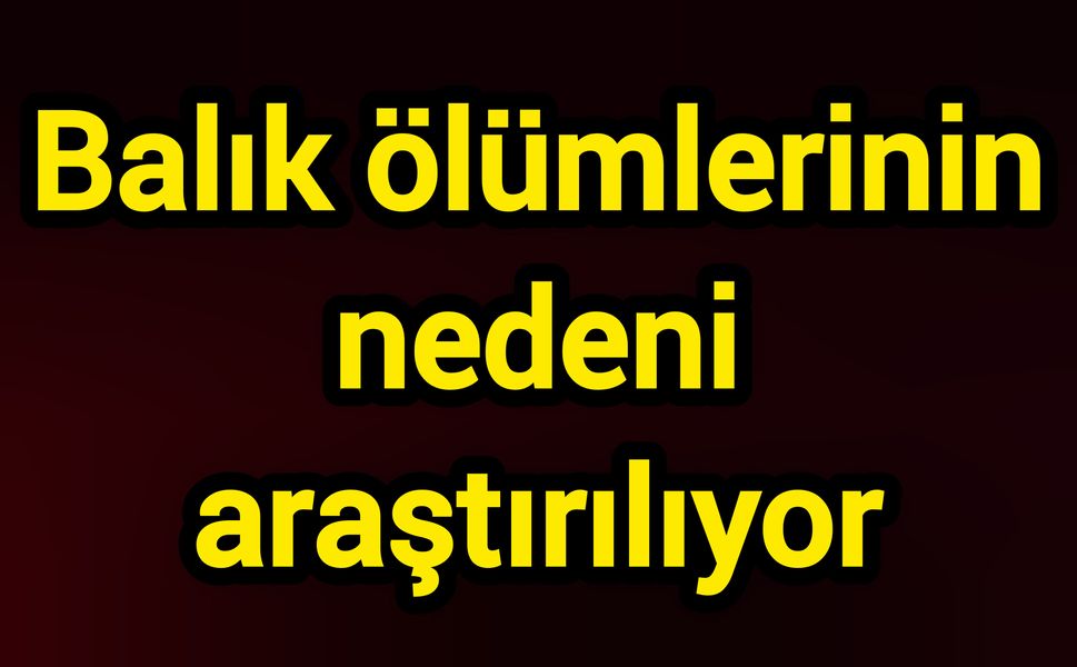 Balık ölümlerinin nedeni araştırılıyor